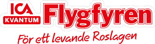 Logotype of Flygfyren